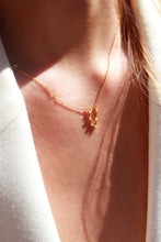 Charger l&#39;image dans la galerie, Collier Constellation Capricorne
